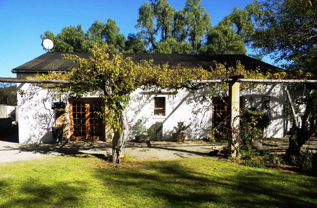 Witkrans Guest Farm Ξενοδοχείο Middelburg  Εξωτερικό φωτογραφία